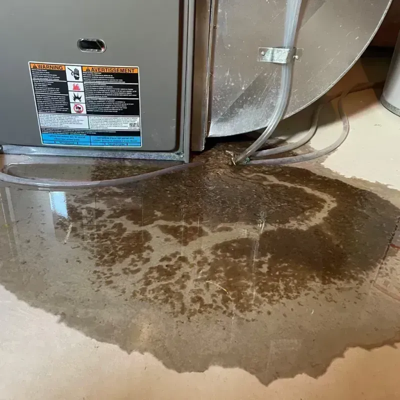 Appliance Leak Cleanup in Stark County, IL